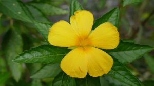 G08202a71bb752f7157945d504d406bb55e4600f1d7af780cbbcd18aff3c11e1ed8df303ba4b228b00c521b97da035ffaa28abfb39bd79557ca549d838fa77b7c 640